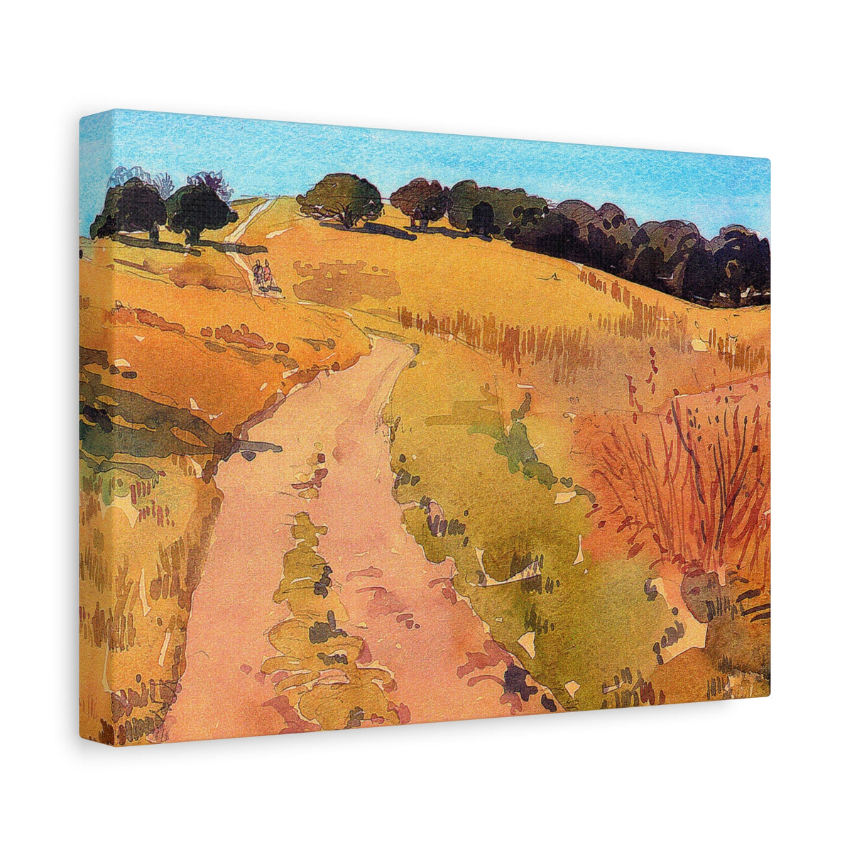 Stanford Hills