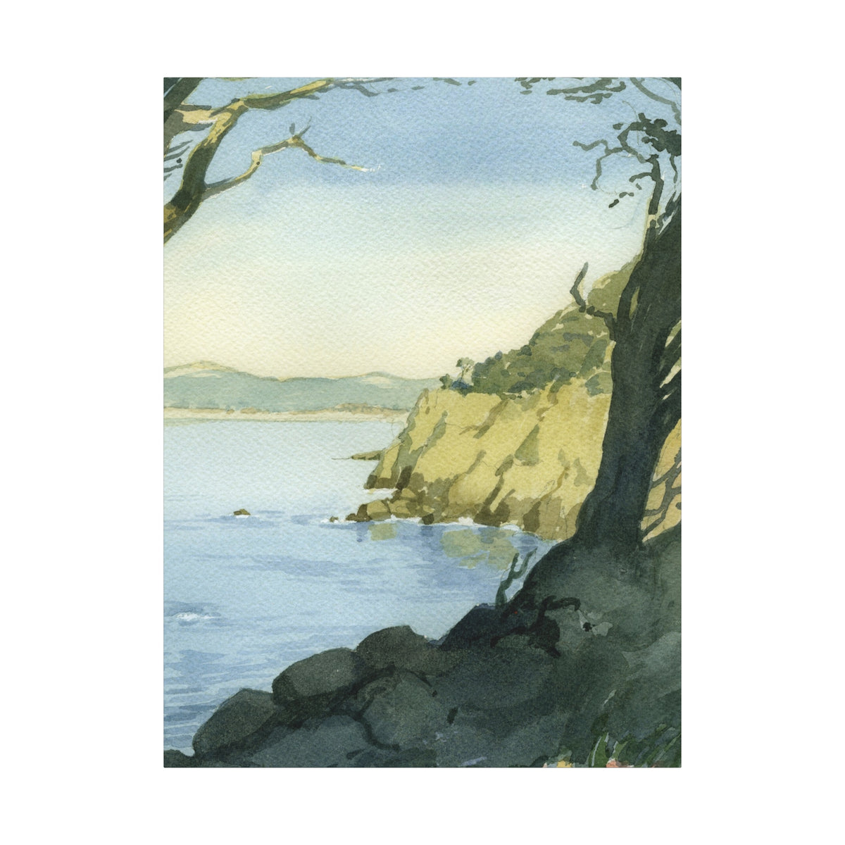 Point Lobos