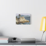 Lone Cypress