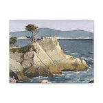 Lone Cypress