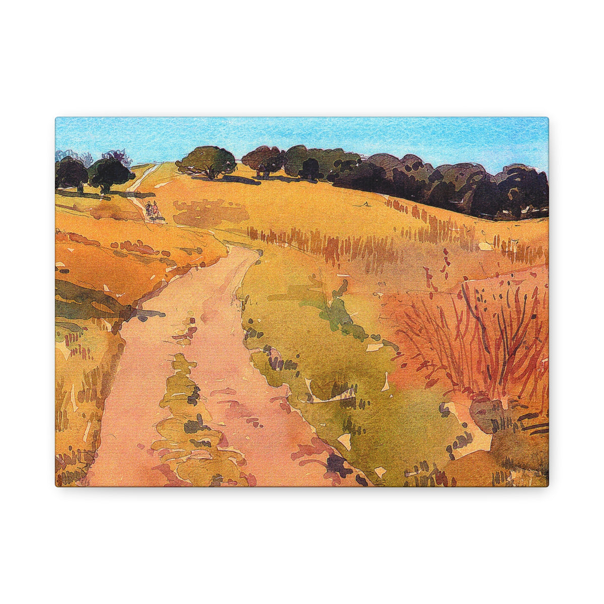 Stanford Hills