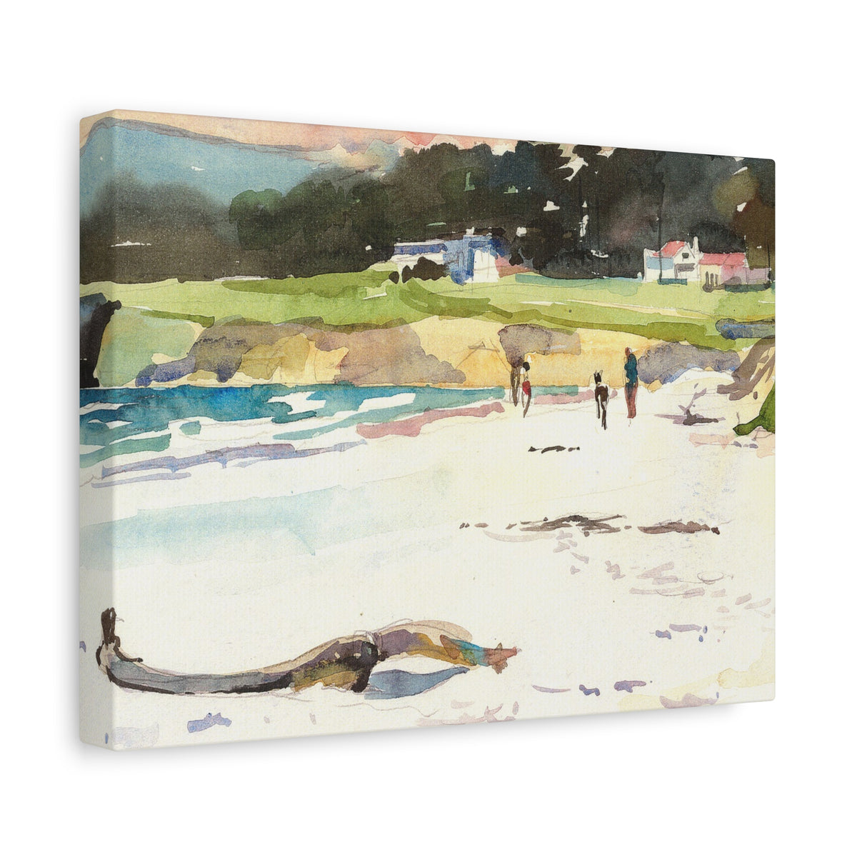 Carmel Lodge Backyard