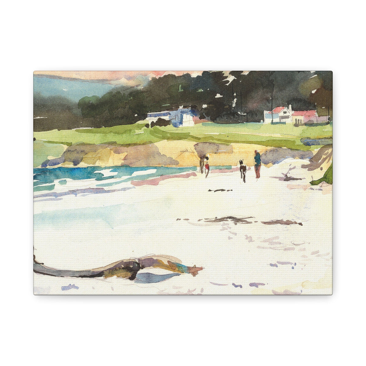 Carmel Lodge Backyard