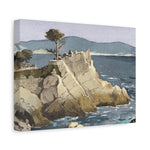 Lone Cypress