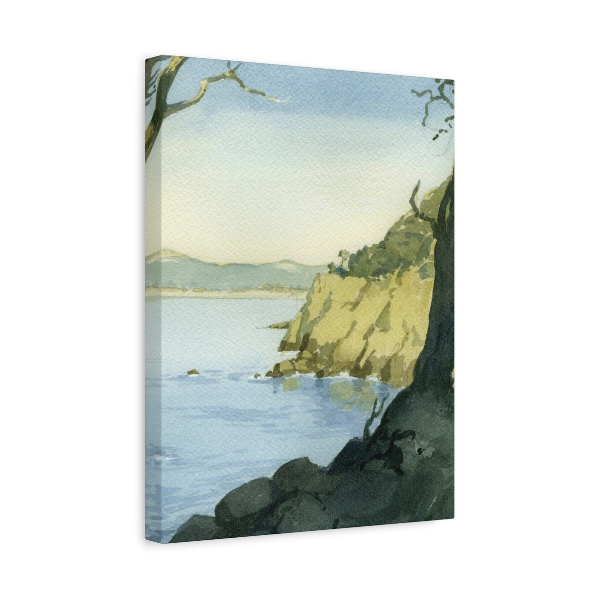Point Lobos
