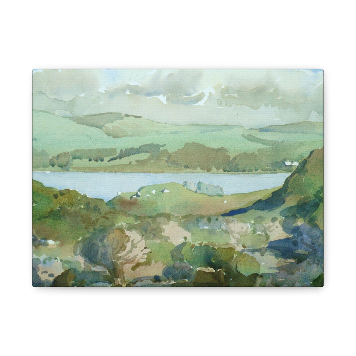 Tomales Bay