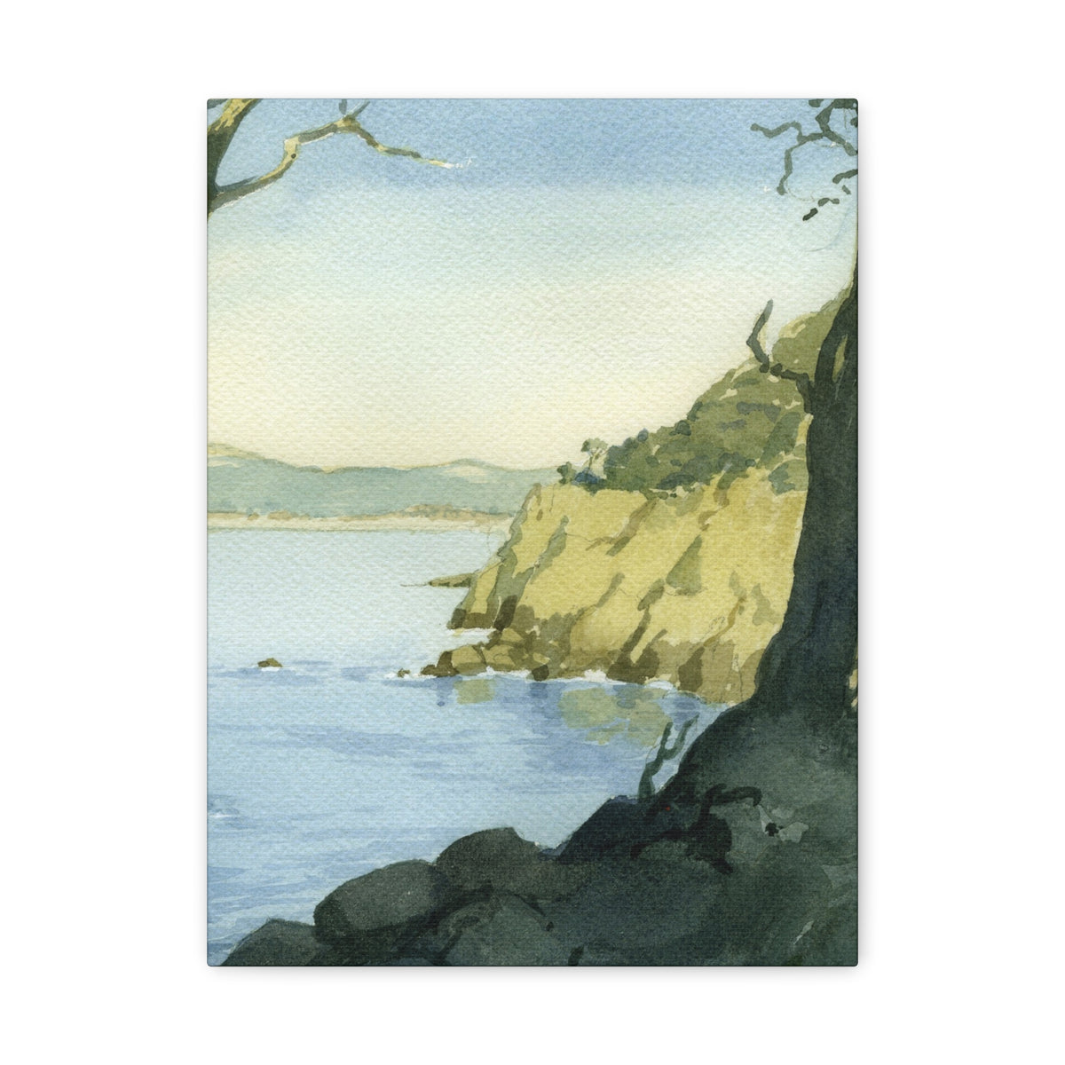 Point Lobos
